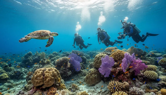 Cozumel Scuba Diving Packages 2026: Plan Your Epic Underwater Adventure!