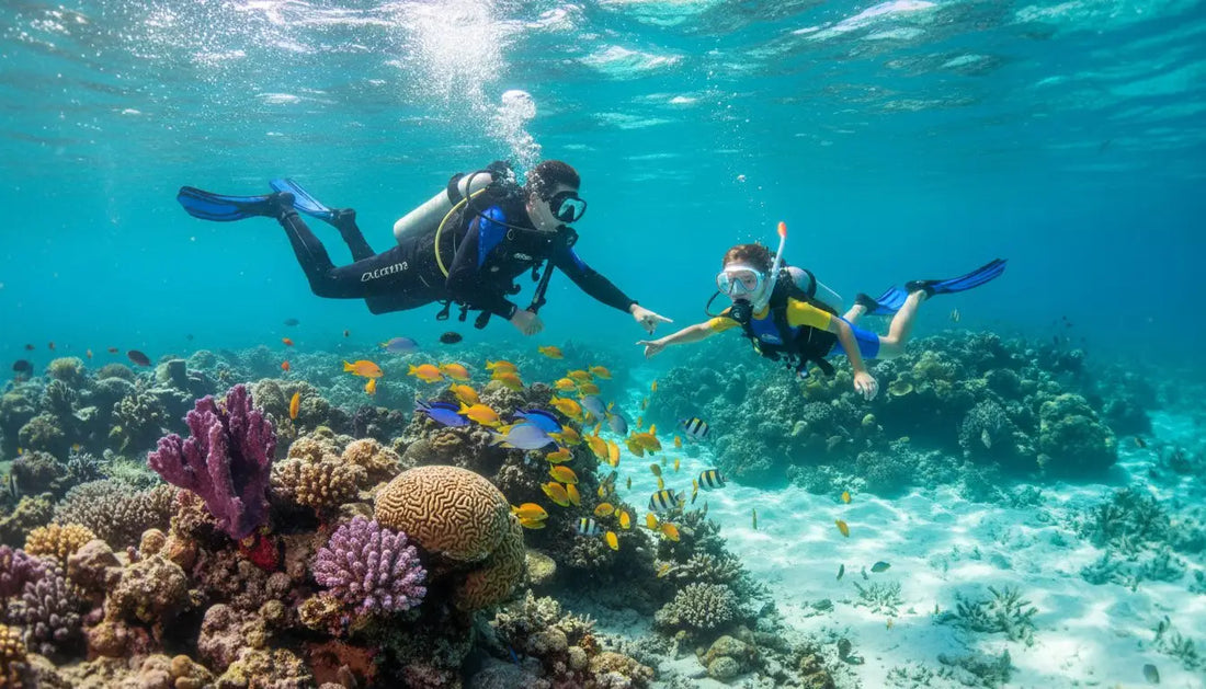 Family Friendly Scuba Diving in Cozumel: A Complete Guide