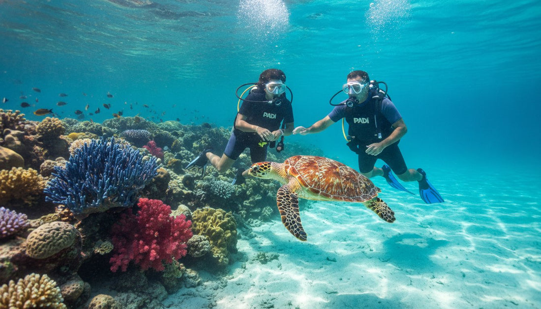 Get Your PADI Certification in Cozumel: The Ultimate 2026 Guide
