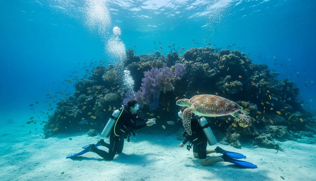 Get Your PADI Certification in Cozumel: The Ultimate Guide