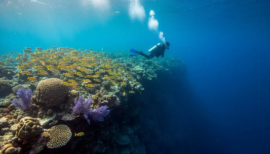 How Deep Are Cozumel Reefs? A Diver’s Guide to Depth and Marine Life