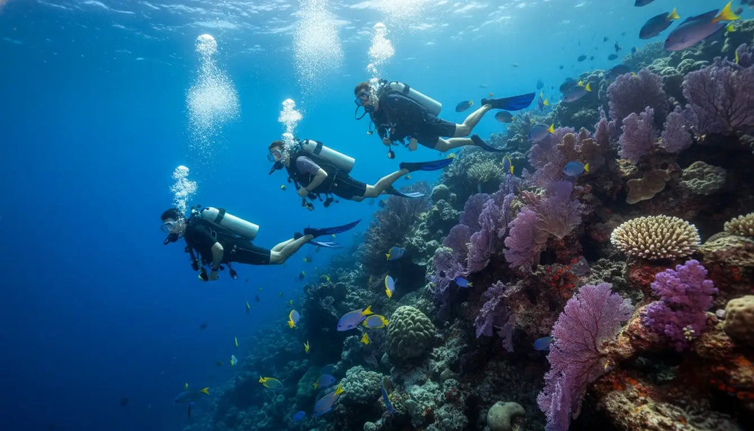 How Strong is the Current in Cozumel? A Diver’s Guide to the Drift