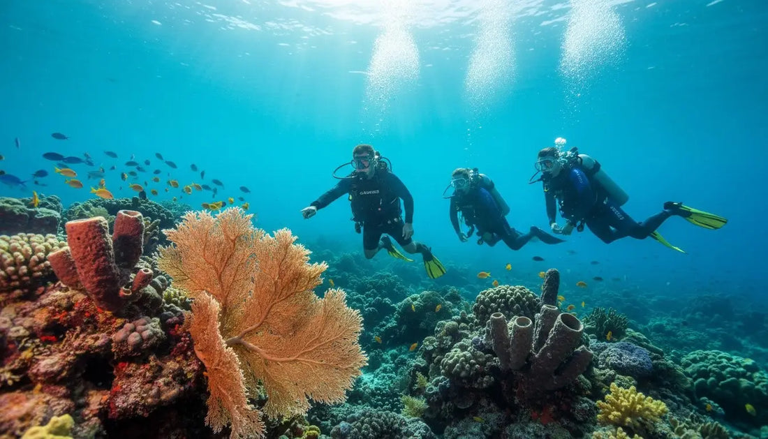 How to Choose the Best Dive Shop in Cozumel (A 2026 Insider's Guide)