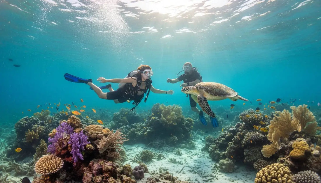 Is Cozumel Diving Good for Beginners? A Local Expert’s Guide to Your First Adventure