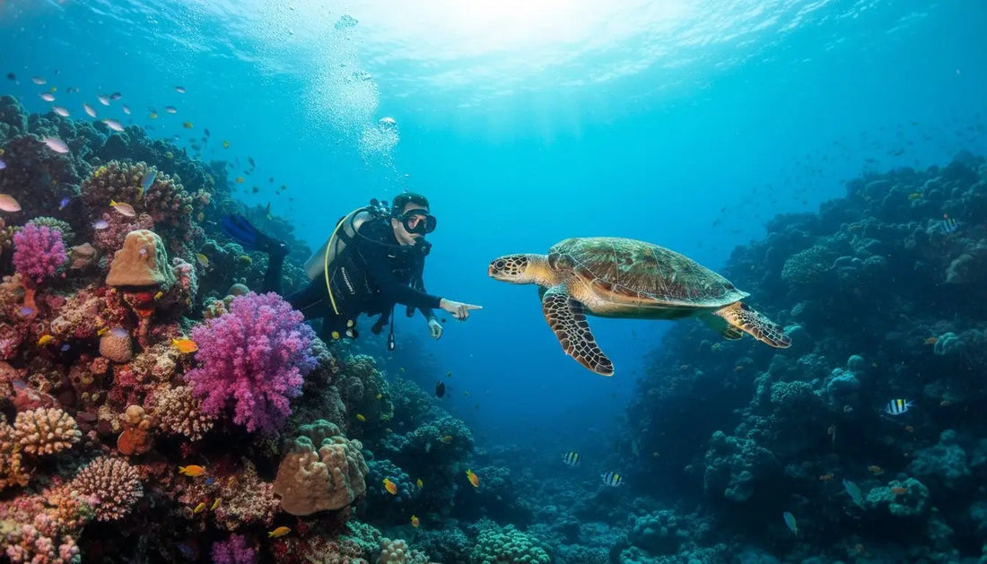 Is Getting Scuba Certified in Cozumel Worth It? The Honest 2026 Guide
