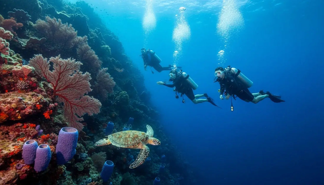 Mastering the Current: Pro Tips & Techniques for Cozumel Drift Diving