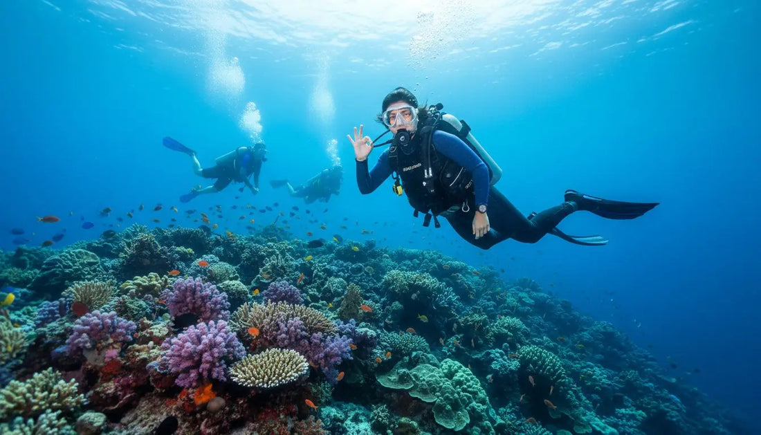 PADI Divemaster Cozumel: Your Ultimate Guide to Going Pro in Paradise