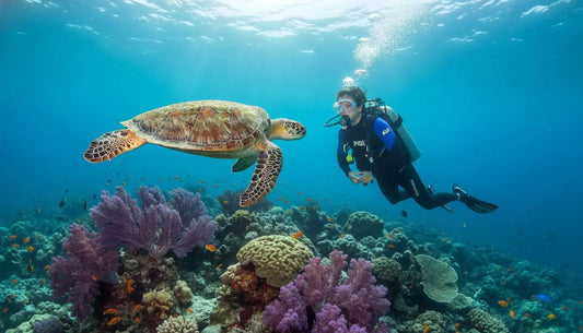 PADI Open Water Cozumel: Your Ultimate Guide to Getting Certified in Paradise