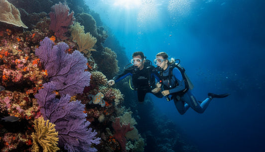 Private Scuba Guide Cozumel: The Ultimate 2026 VIP Drift Diving Experience
