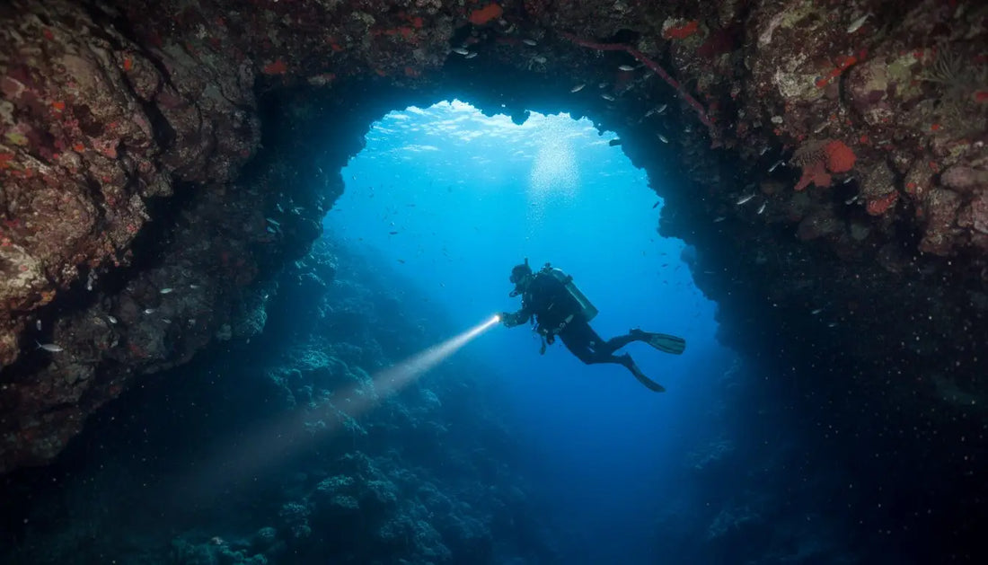 Punta Sur Devil's Throat Dive Guide: Cozumel's Legendary Underwater Rite of Passage