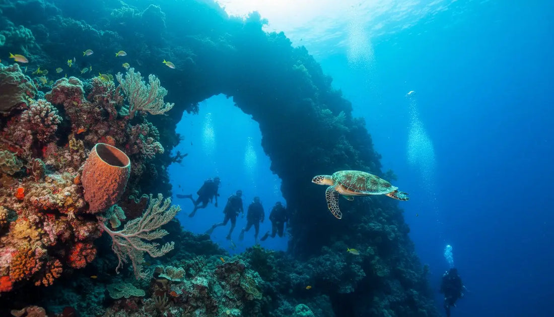 Santa Rosa Wall Cozumel Dive Profile: A Local’s Ultimate Guide (2026)