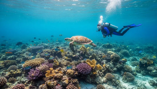 The 5 Best Dive Sites in Cozumel for Beginners (A Stress-Free Guide)