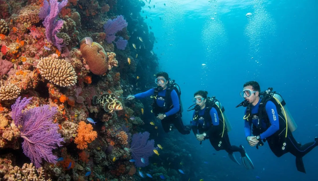 The Top Benefits of Small Group Diving Tours in Cozumel for 2026