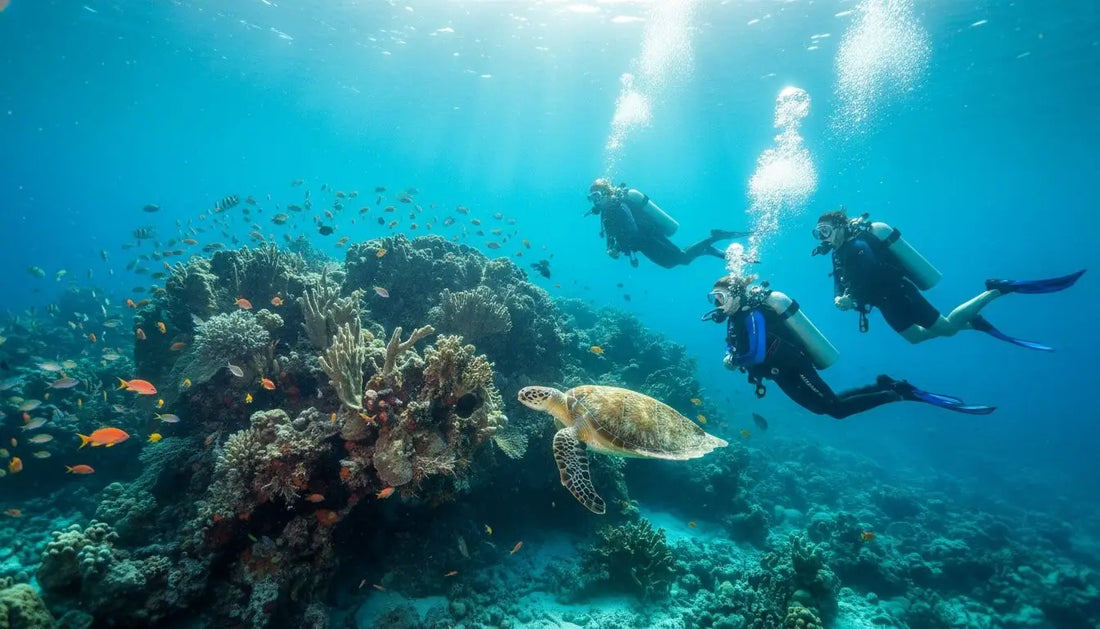 The Ultimate Cozumel Dive Trip Planning Checklist for 2026