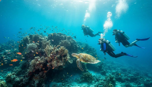 The Ultimate Cozumel Dive Trip Planning Checklist for 2026