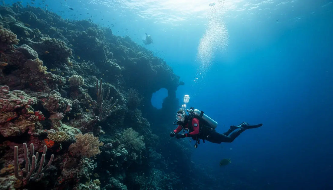 What to Do in Cozumel if You’re a Certified Diver: The 2026 Local’s Blueprint