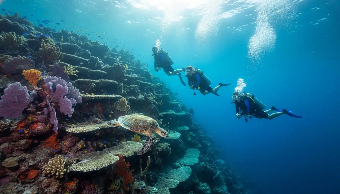What to Expect on Your First Drift Dive: A Beginner’s Guide to Cozumel’s Underwater Flight