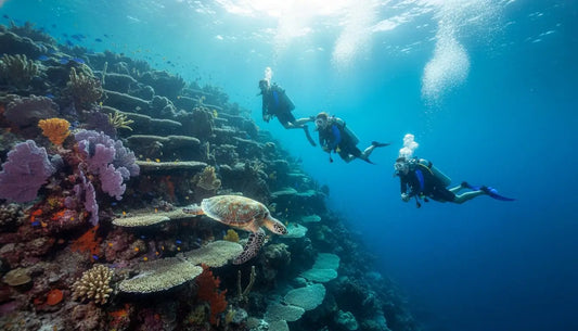 What to Expect on Your First Drift Dive: A Beginner’s Guide to Cozumel’s Underwater Flight
