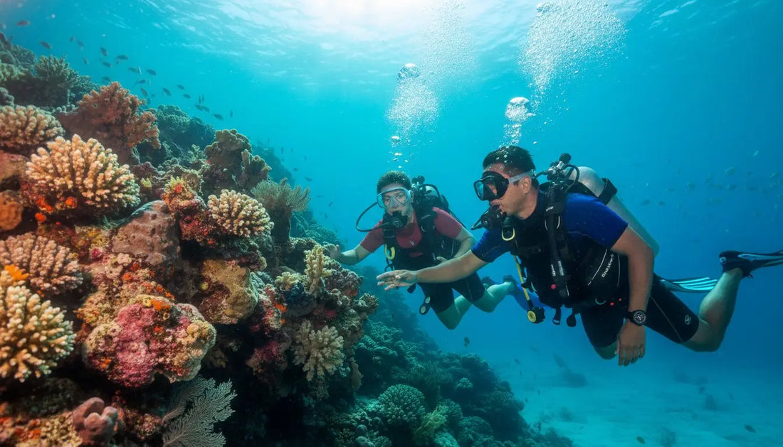 What to Look for in a Cozumel Divemaster: Finding Your Ultimate Reef Guide