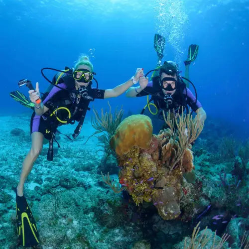 Colombia Shallows – Cozumel Dive Site Guide