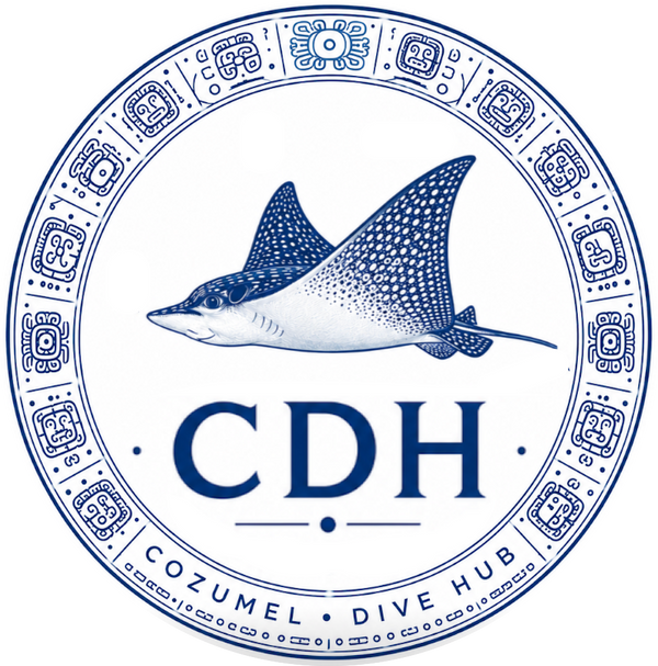 Cozumeldivehub