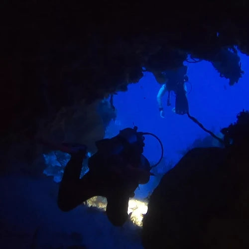 Devil’s Throat Reef Cozumel Dive Site
