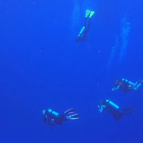 Devil’s Throat Reef Cozumel Dive Site