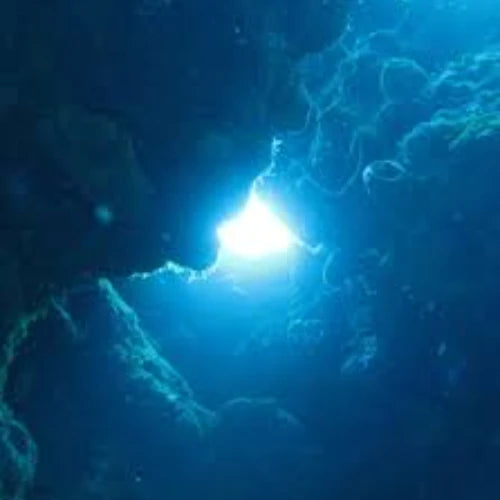 Devil’s Throat Reef Cozumel Dive Site