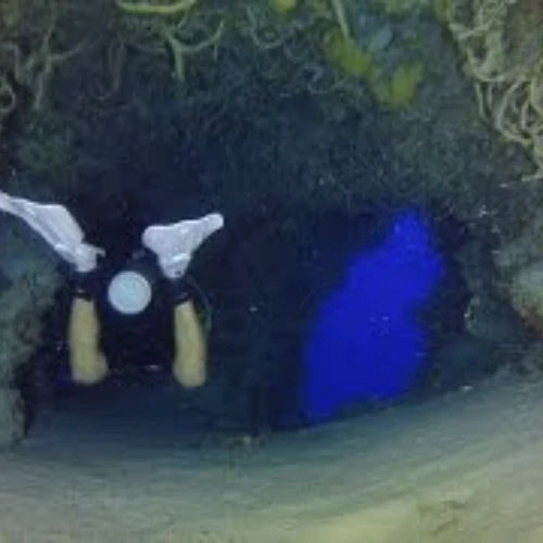 Devil’s Throat Reef Cozumel Dive Site