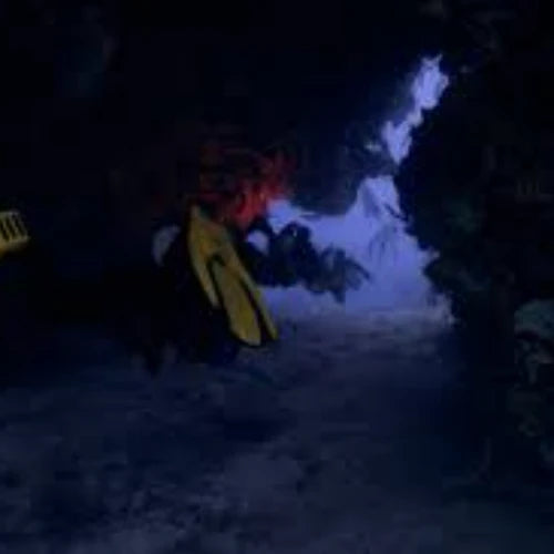 Devil’s Throat Reef Cozumel Dive Site