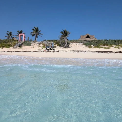 El Mirador Reef Cozumel Dive Site