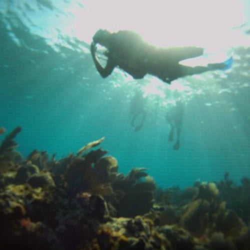 El Islote Reef Cozumel Dive Site