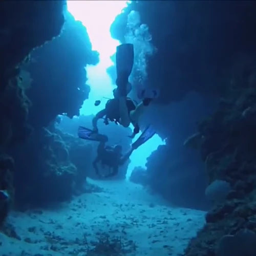 Palancar Bricks Reef Cozumel Dive Site