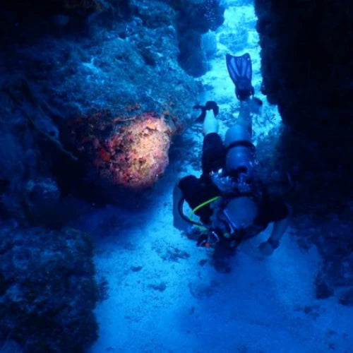 Palancar Bricks Reef Cozumel Dive Site