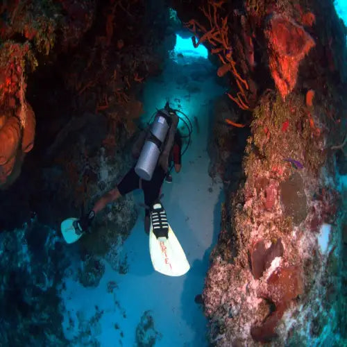 Palancar Caves Reef Cozumel Dive Site