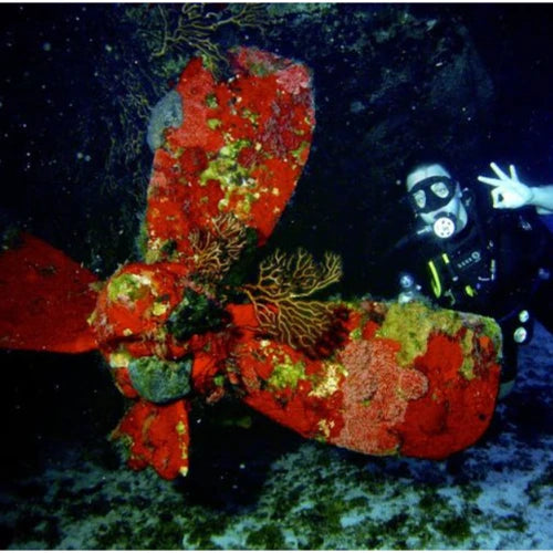 Palancar Horseshoe Reef Cozumel Dive Site
