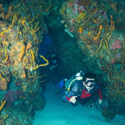 Palancar Caves Reef Cozumel Dive Site