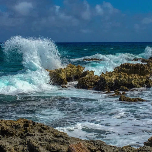 Punta Morena Reef Cozumel Dive Site