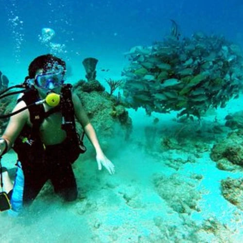 Punta Morena Reef Cozumel Dive Site