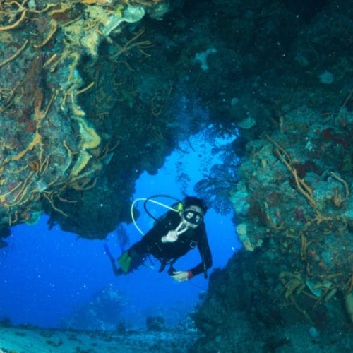 Punta Sur Reef Cozumel Dive Site