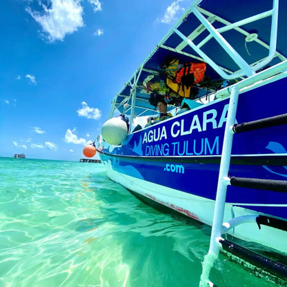 Agua Clara Diving Cozumel
