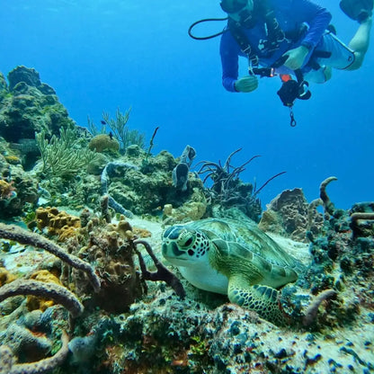 Agua Clara Diving Cozumel