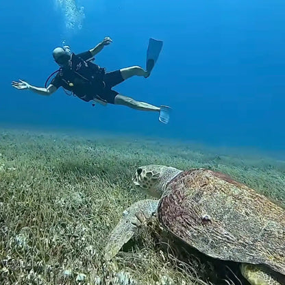 Barefoot Dive Center Cozumel
