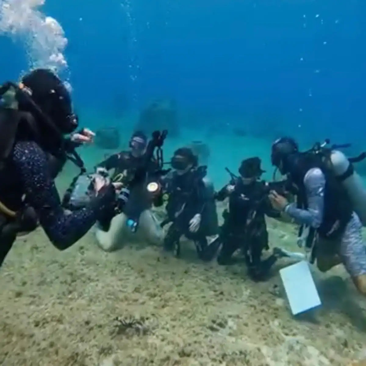 Barefoot Dive Center Cozumel