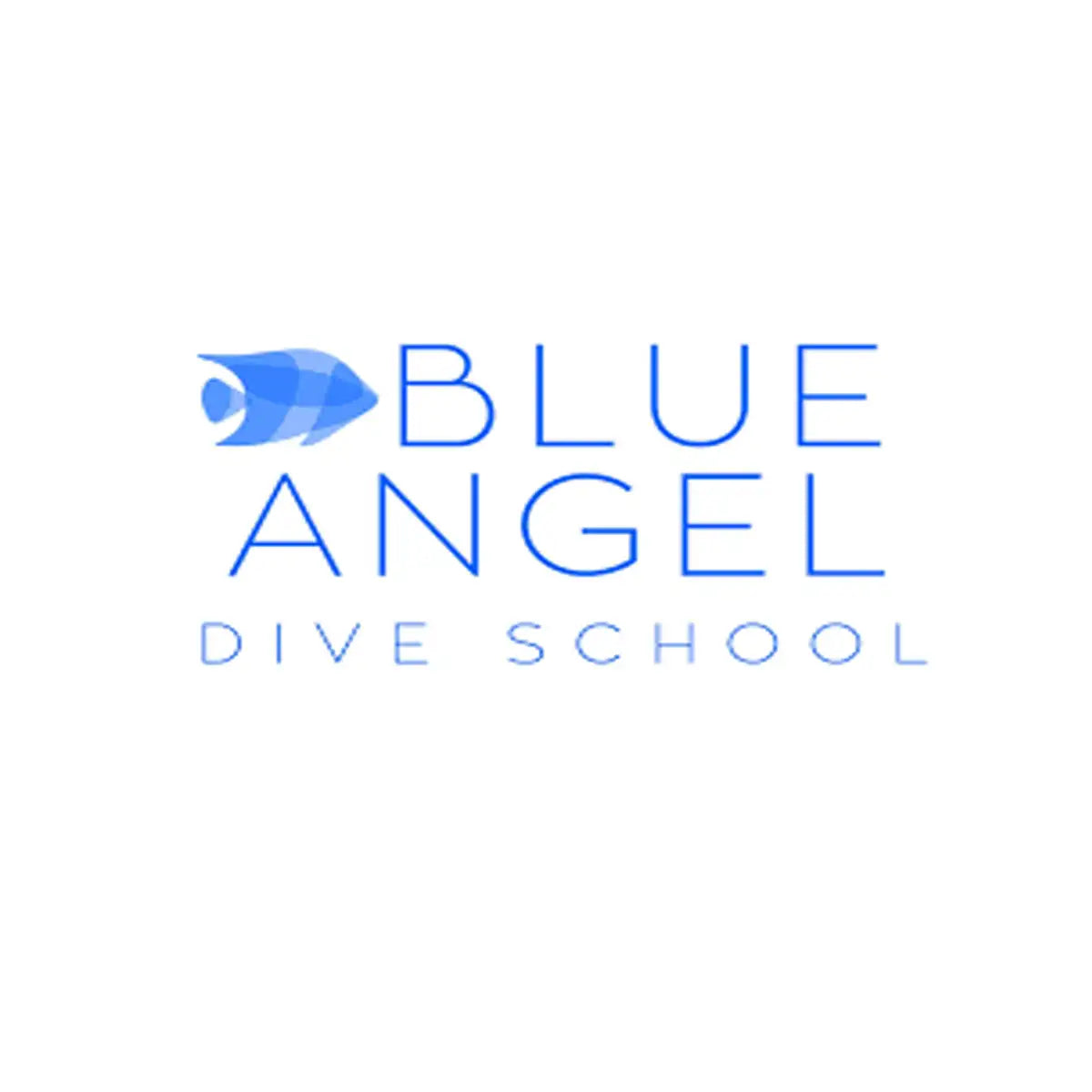 Blue angel dive school logo featuring a stylized blue fish icon and text in varying shades of blue.