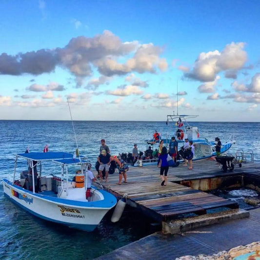 Blue Angel Dive Shop & Resort Cozumel