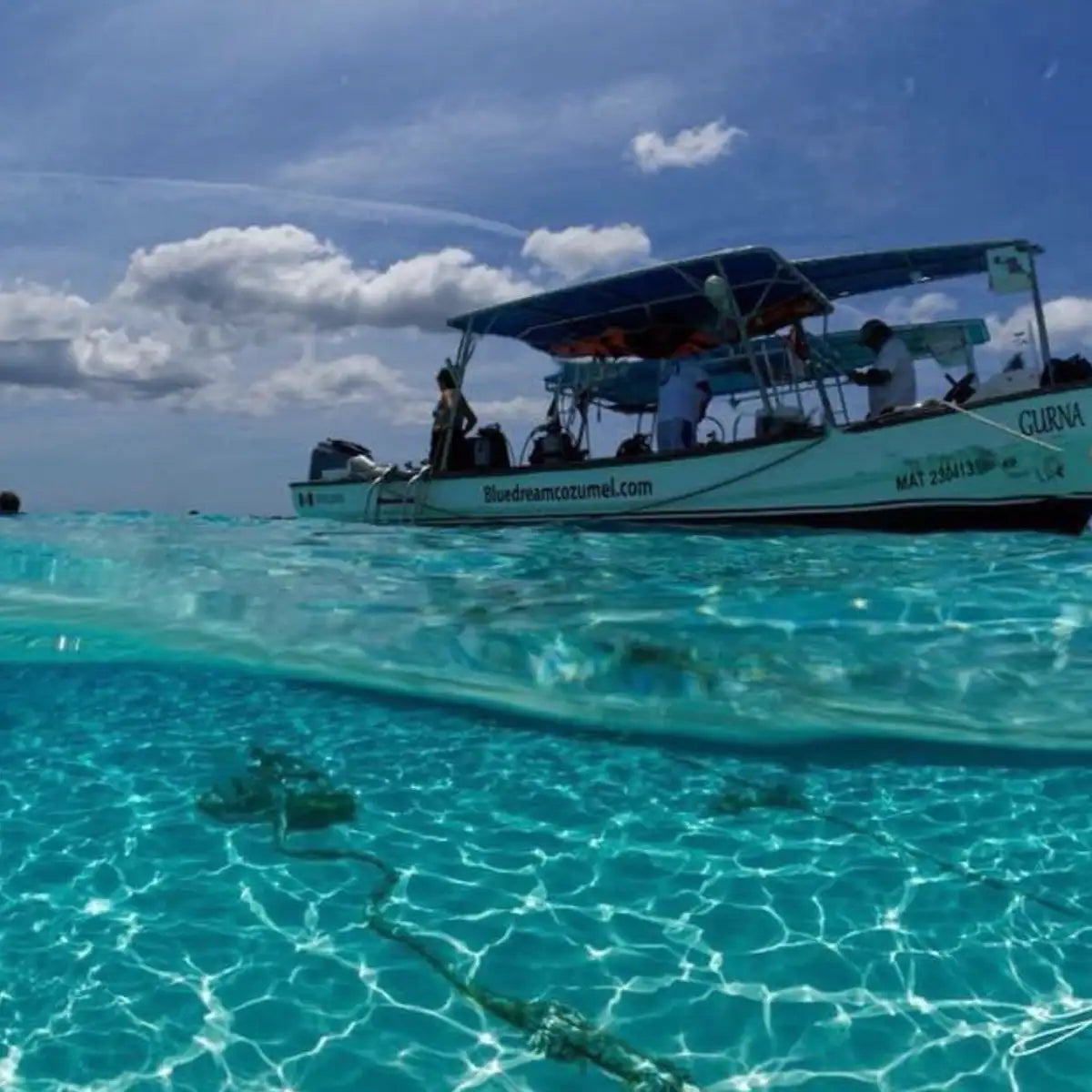 Blue Dream Cozumel