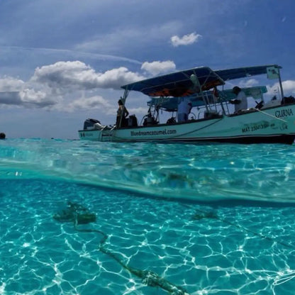 Blue Dream Cozumel