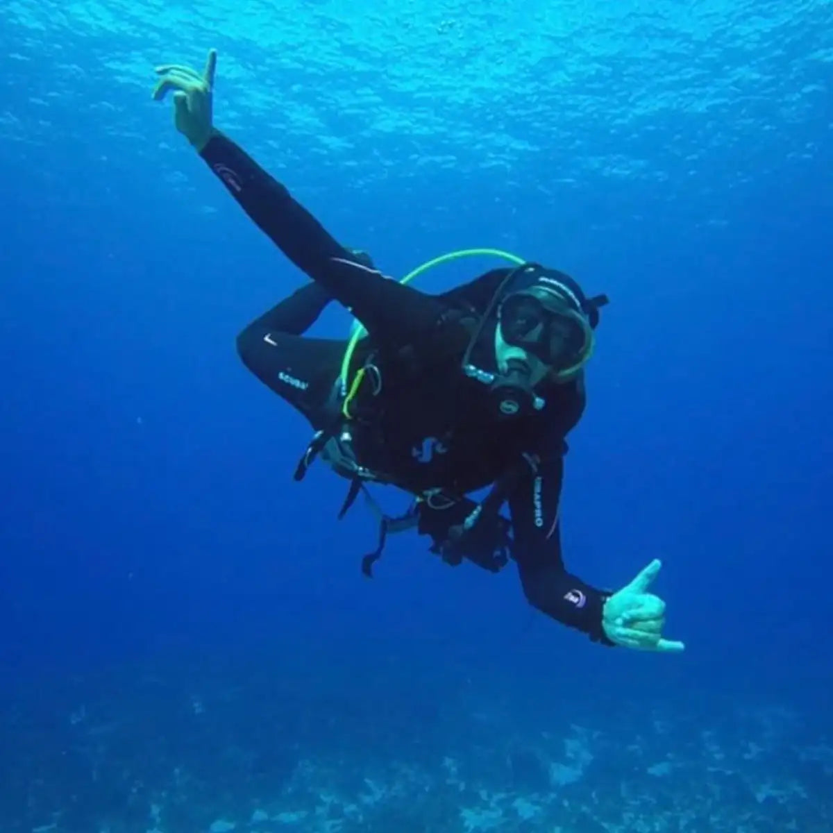 Blue Dream Cozumel