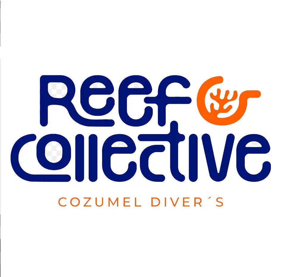 Blue and orange ’reef collective’ logo with a stylized coral icon, featuring the text “cozumel diver’s” beneath it.